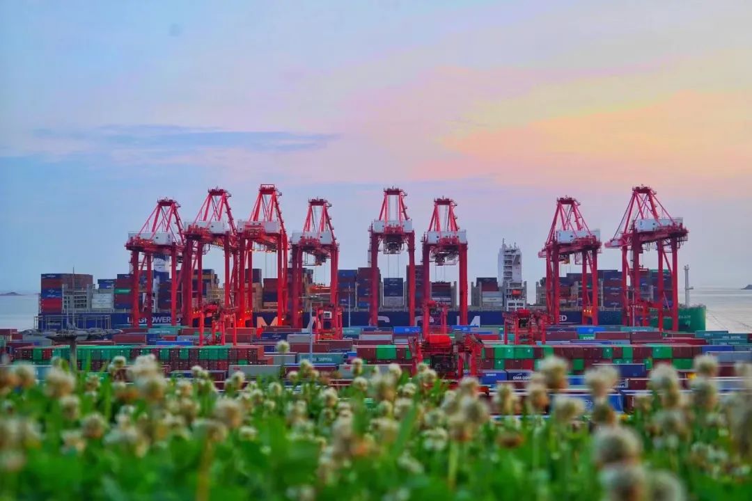 天津上海内贸集装箱海运